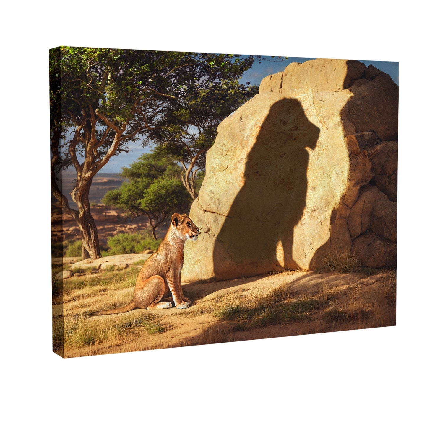 wild-cat-success-mindset-framework