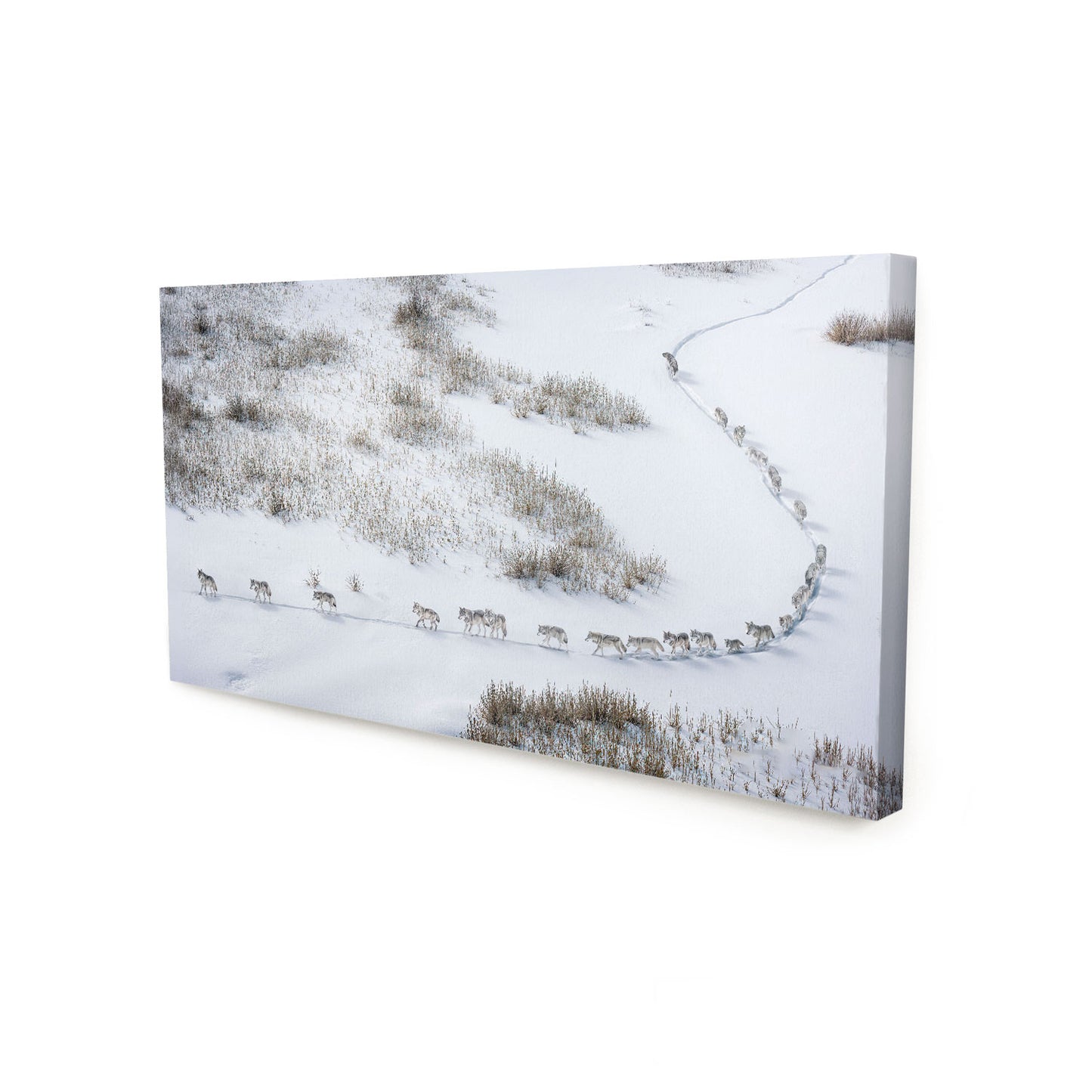 Path of the Pack Painting – Leadership & Teamwork Wolf Art