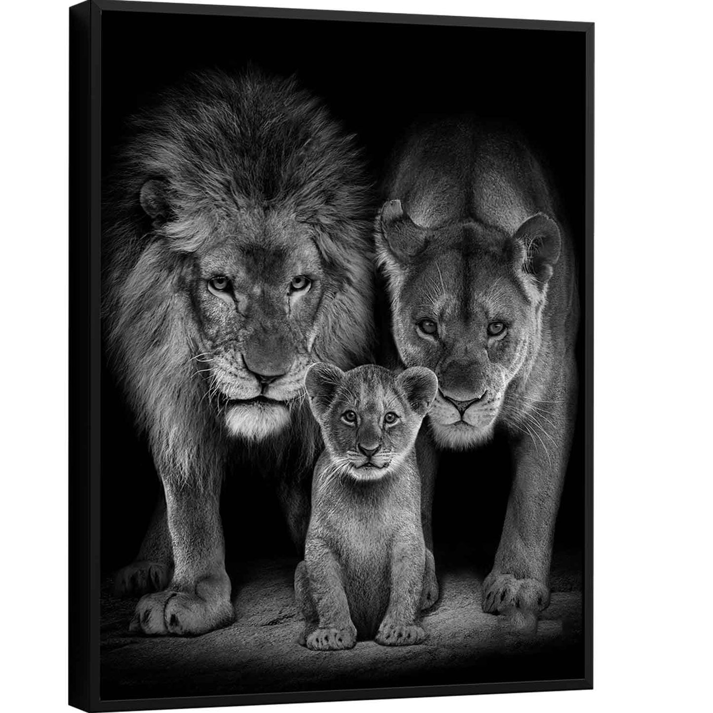 roaring-lion-family-black-and-white-canvas-print