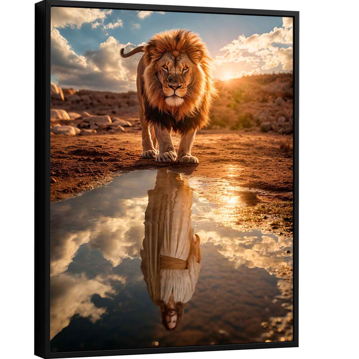 lion-of-judah-sacred-canvas-print