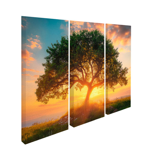 tree-at-sunset-frame-3-pieces