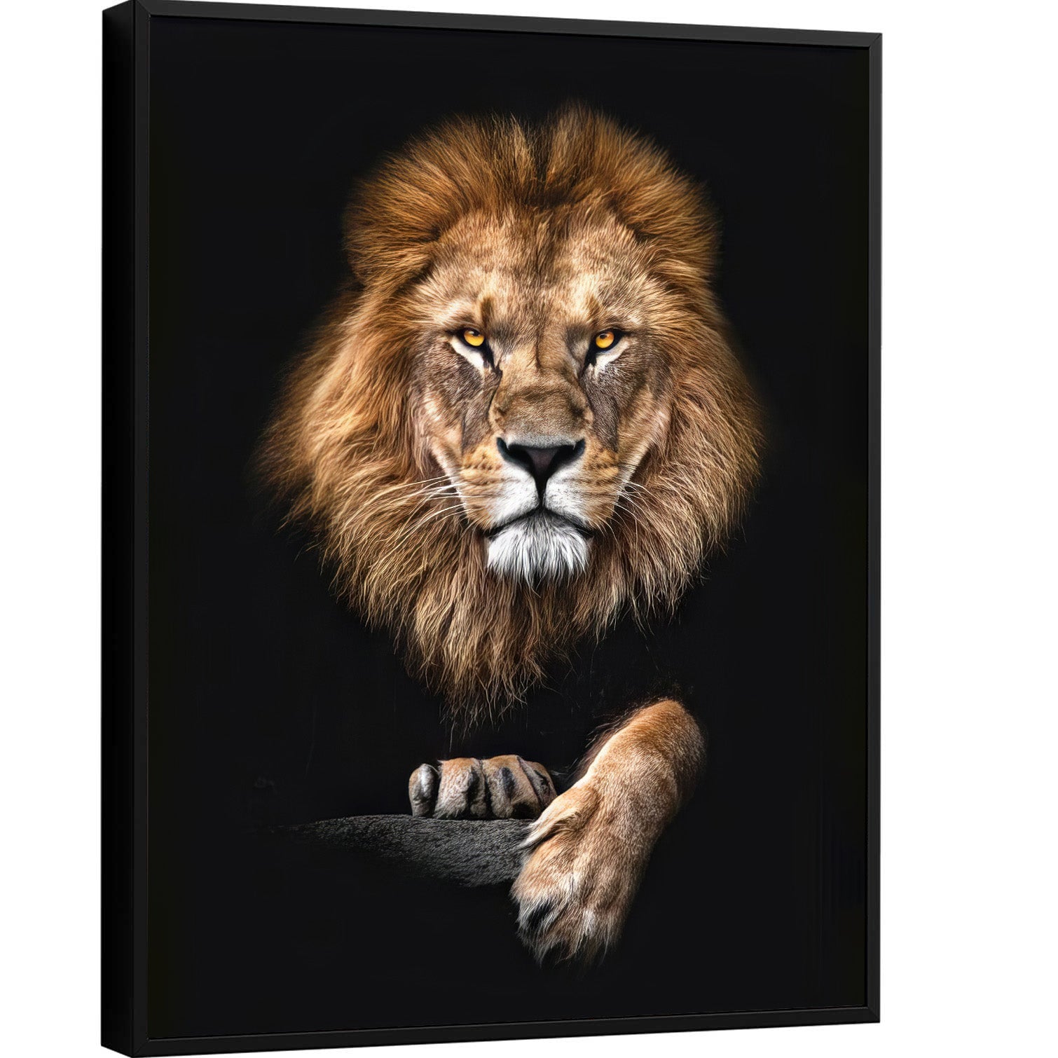 focused-lion-wall-art