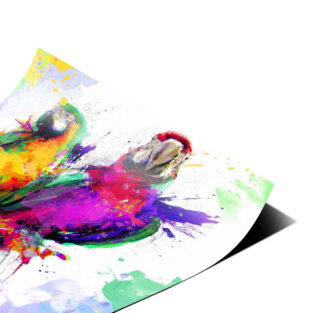 Two parrots gazing in different directions in bold abstract watercolor wall art