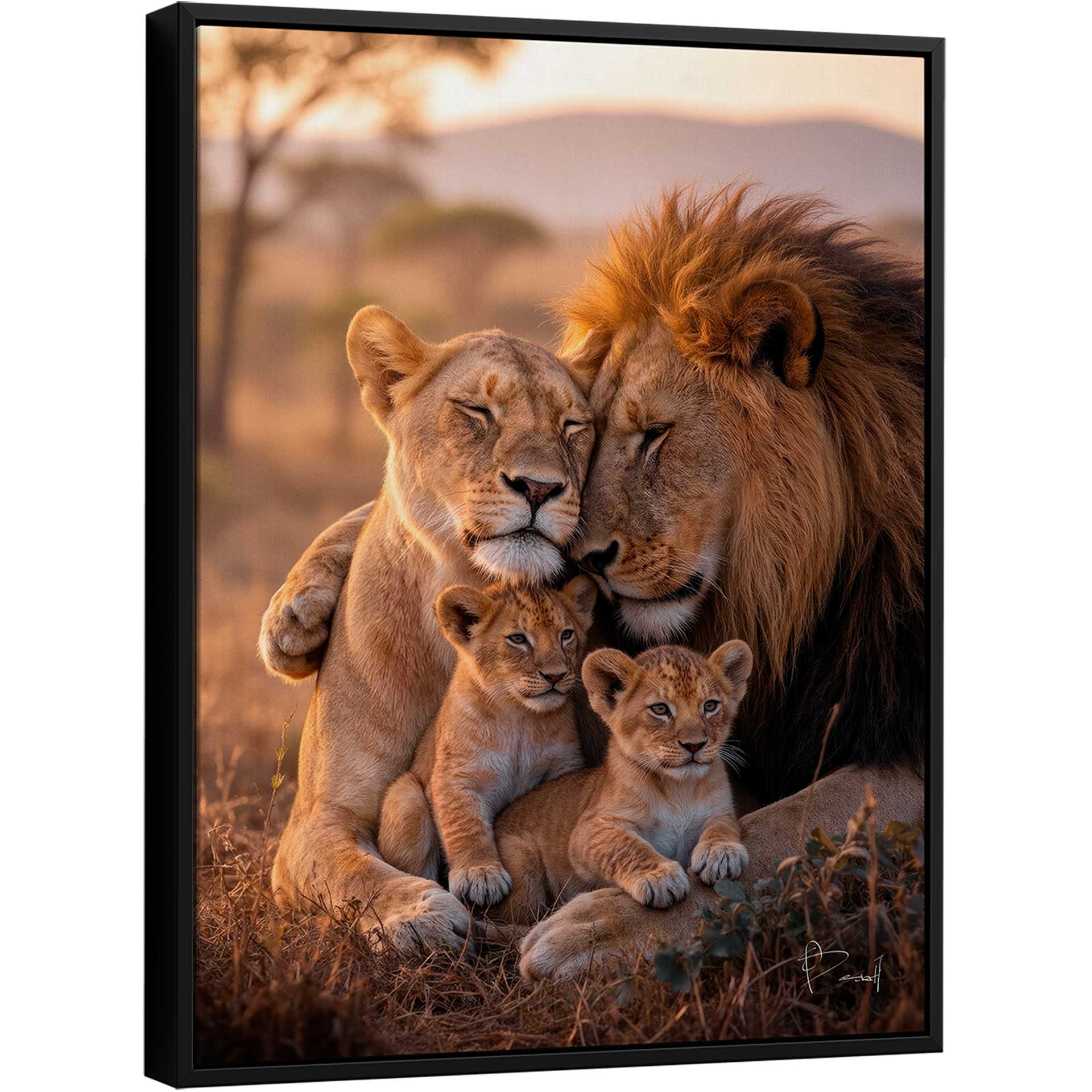 Wild Union Canvas: adult male lion and lioness sharing a tender moment with cubs in warm sunset light