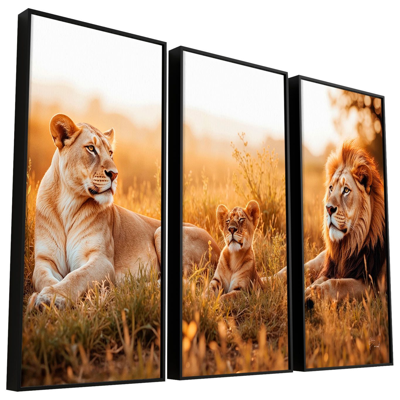 Three-panel wall art featuring a lioness, cub, and male lion resting in sunset grass
