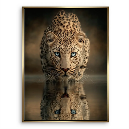 Dramatic lighting highlights leopard's gaze