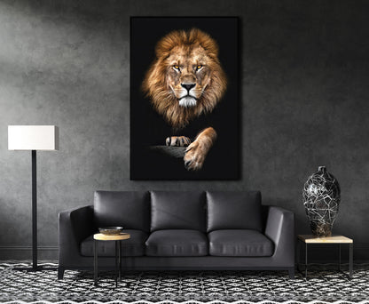 focused-lion-wall-art