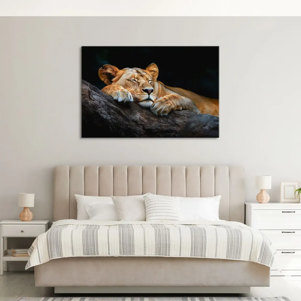 Sleeping lioness canvas wall art on a dark backdrop.