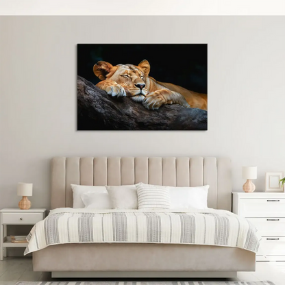 Sleeping lioness canvas wall art on a dark backdrop.