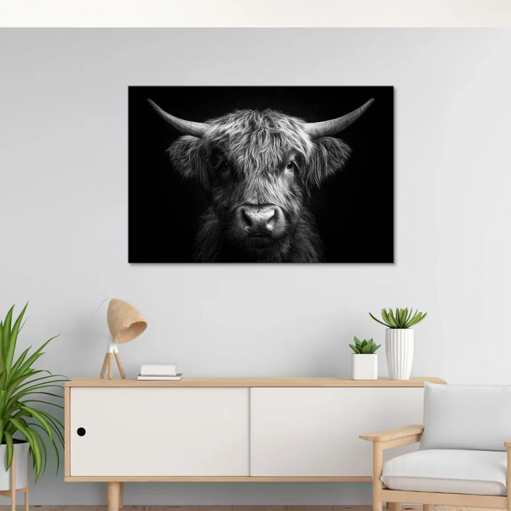 Shaggy-haired Highland cow with prominent horns on monochrome canvas