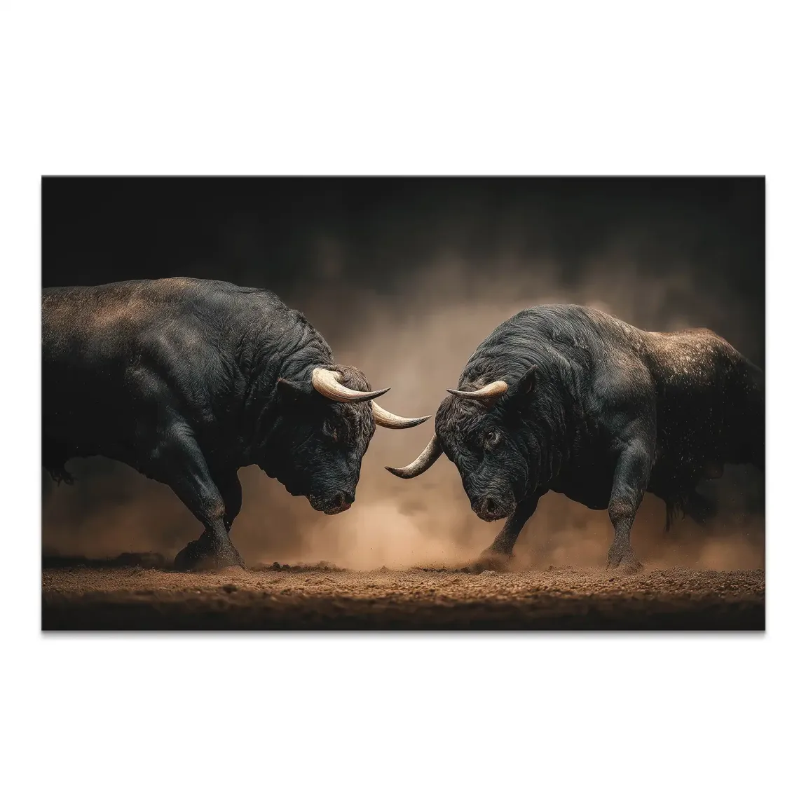 Two black bulls in a dramatic head-to-head standoff on a dusty arena