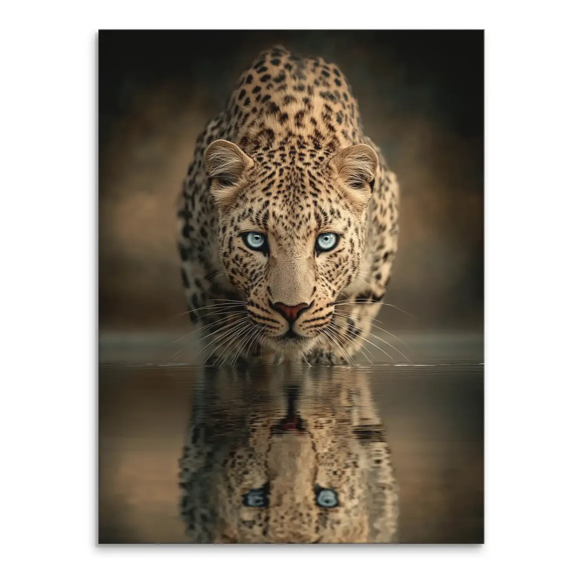 Head-on leopard portrait with piercing blue eyes on canvas
