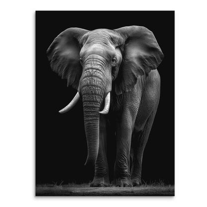 Black Elephant Canvas Art with a deep black background