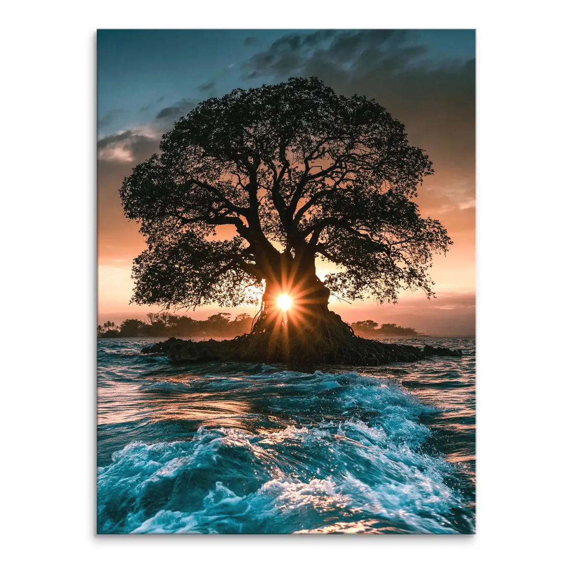 Silhouetted ancient tree at sunset over a calm ocean