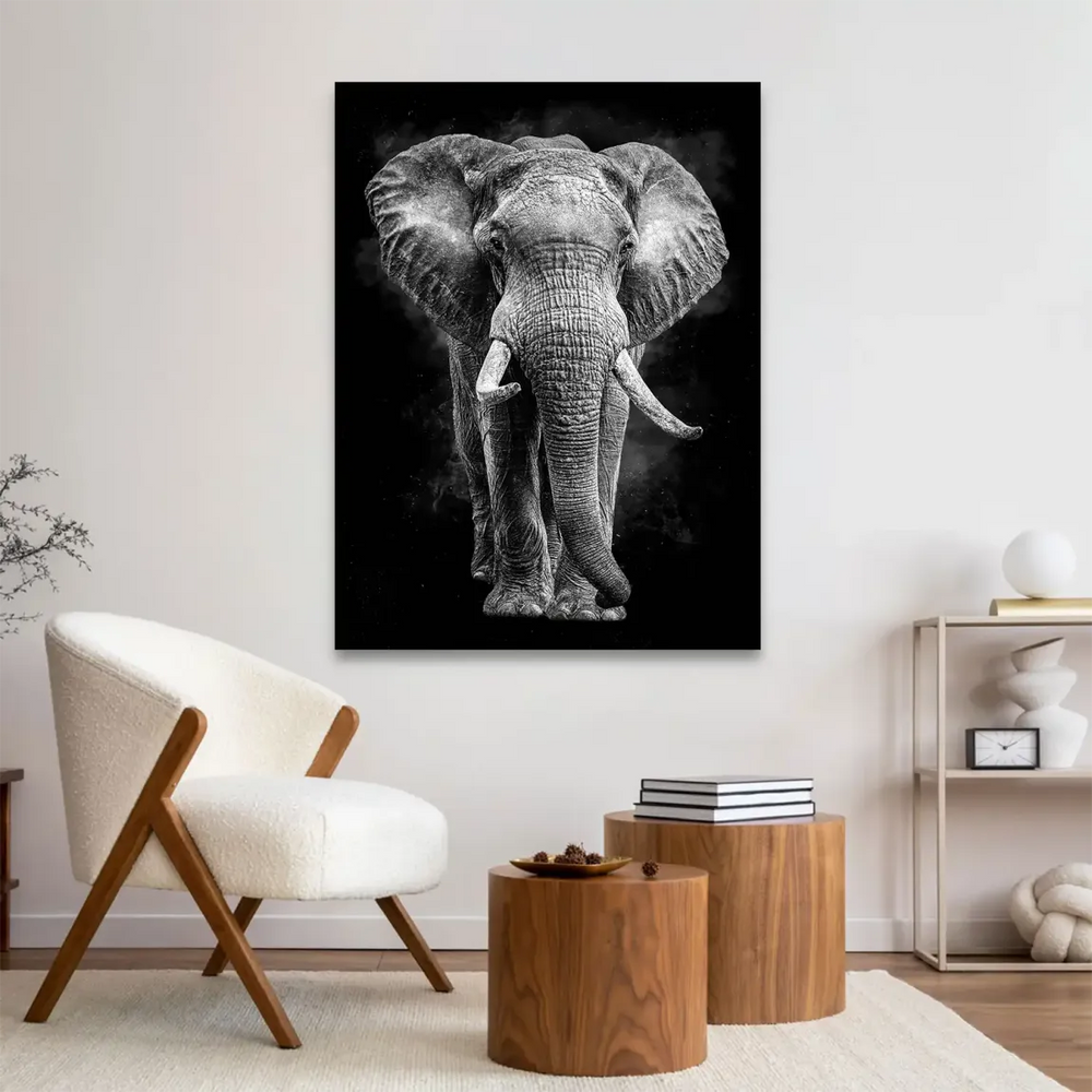 Close-up of elephant's large ears and tusks against a dark background