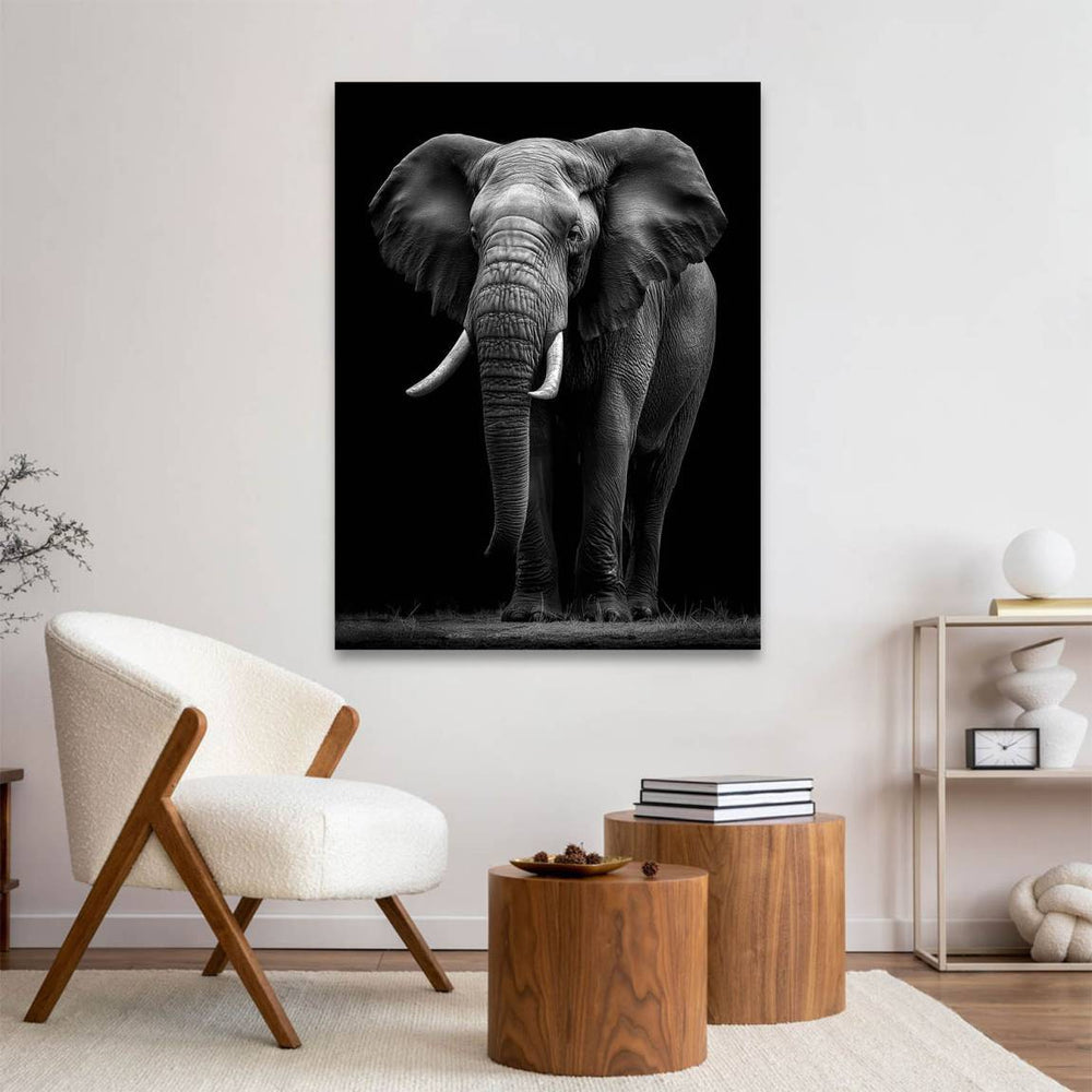 Frontal full-body elephant portrait in monochrome canvas