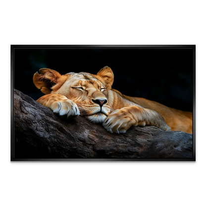Realistic wildlife wall art featuring a tranquil lioness.