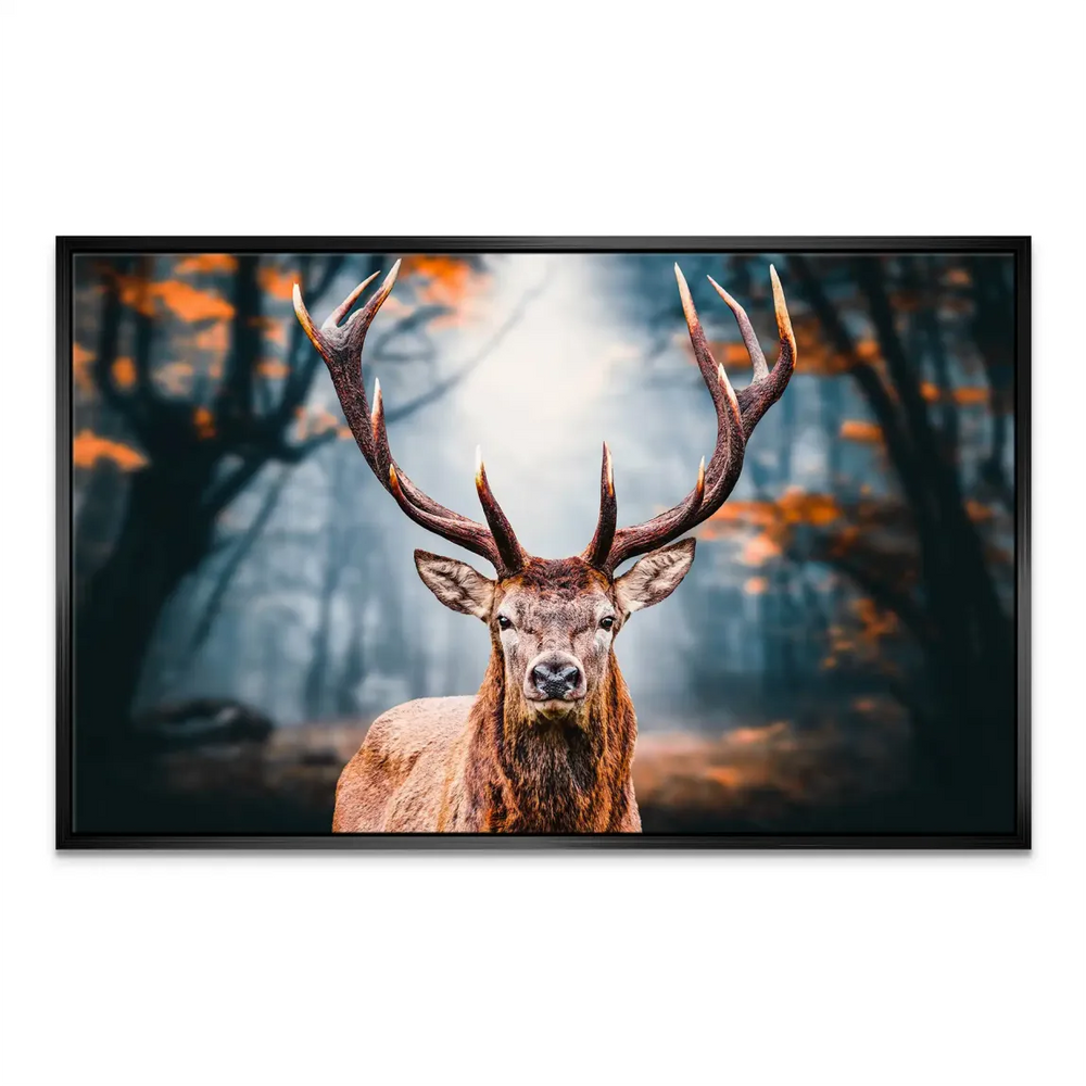 Strong central composition draws the eye into the depth of the misty woods.