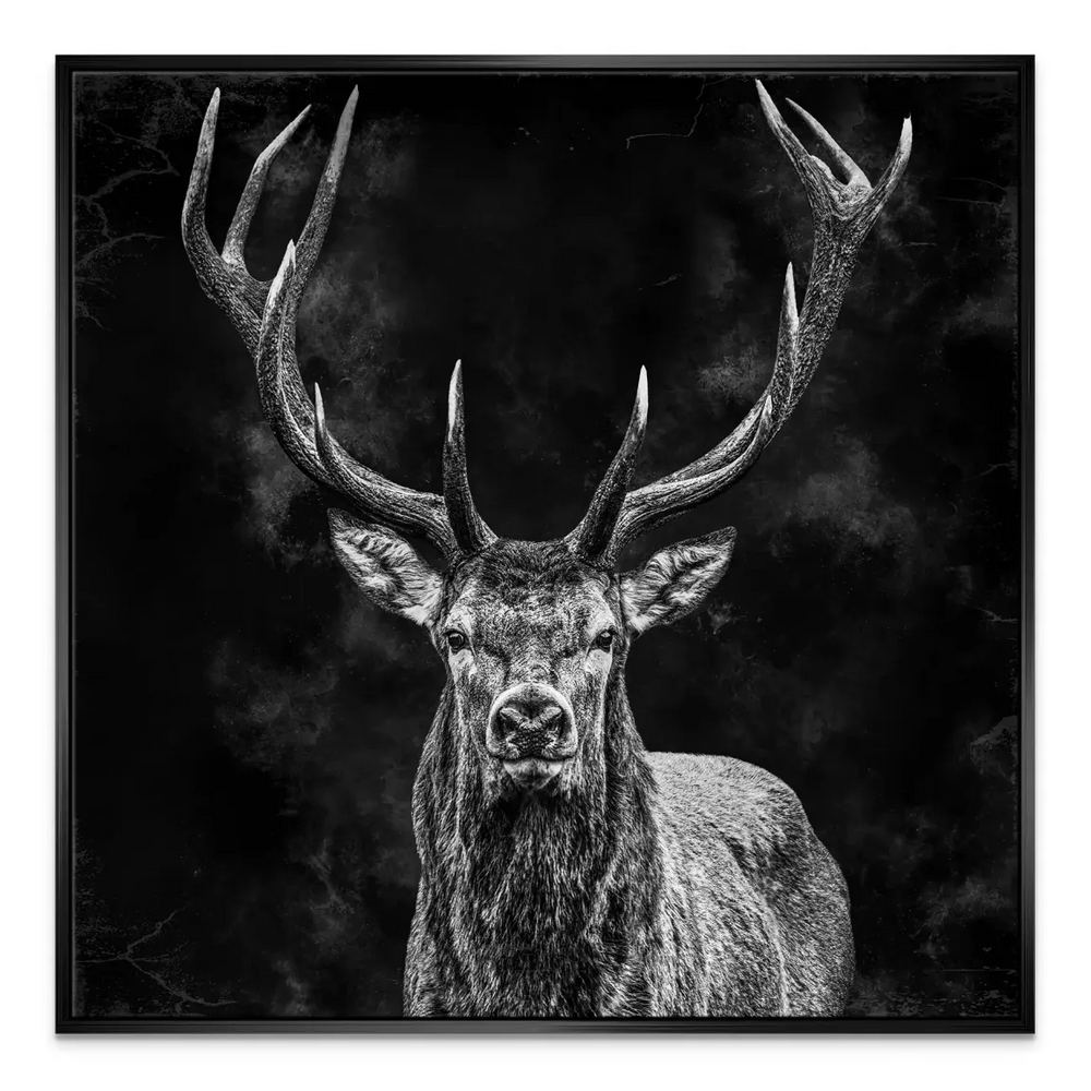 Dramatic black-and-white wildlife canvas for modern interiors
