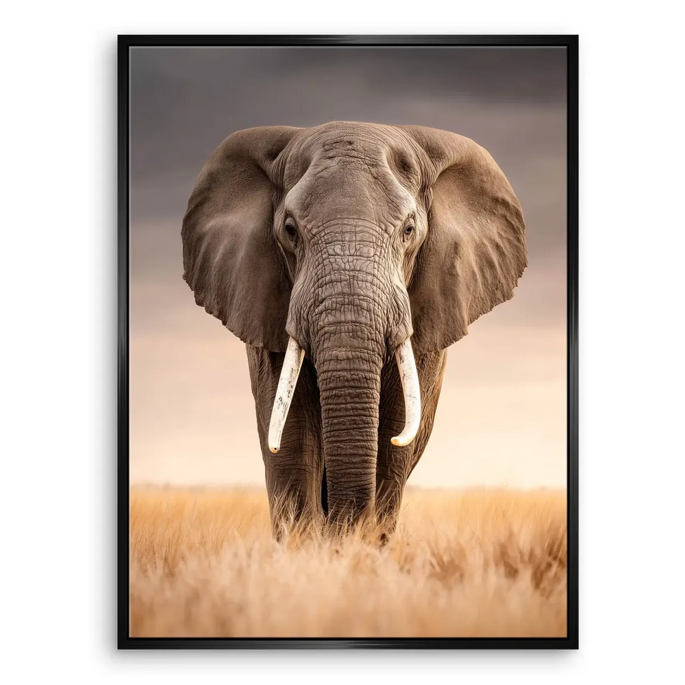 Dramatic sky over savannah landscape with a standing elephant