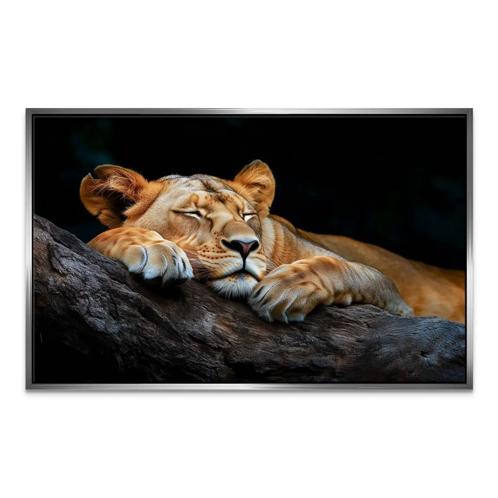 Majestic lioness resting in a natural setting for rustic decor.