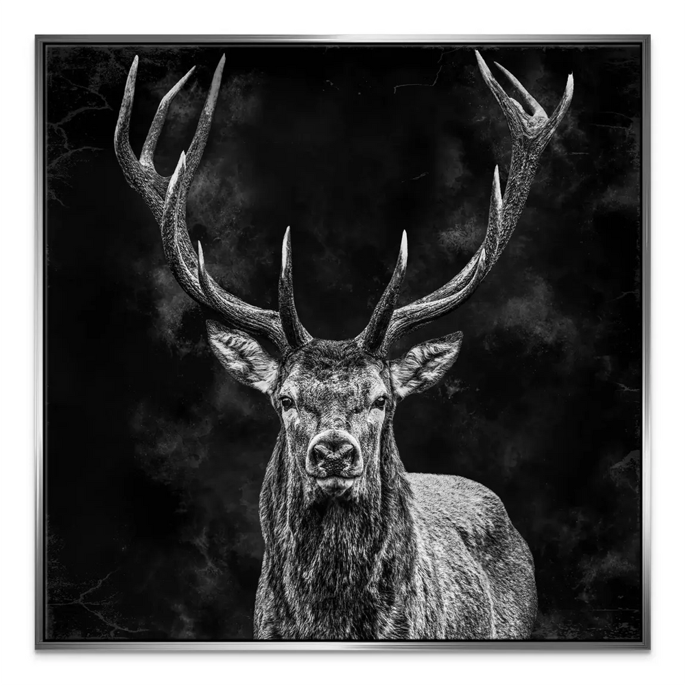 Statement wall art of a noble stag with strong presence