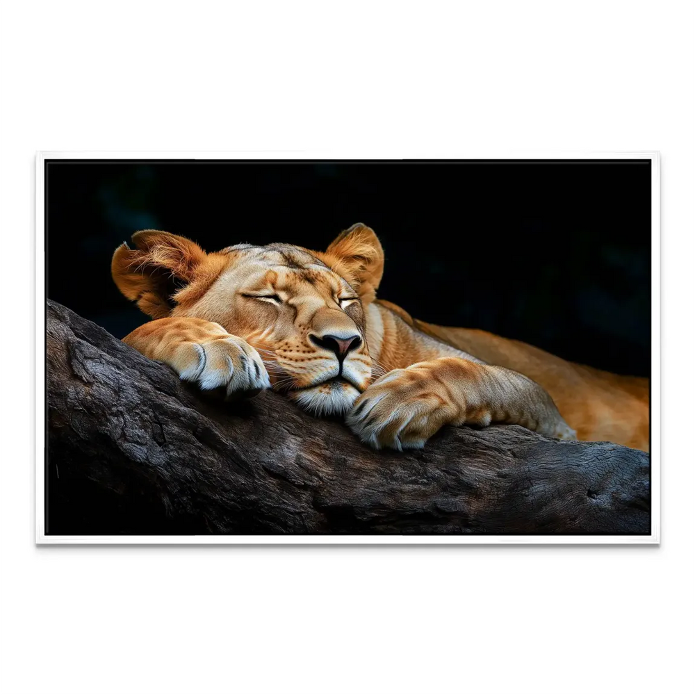 Animal canvas art—calm lioness with dramatic contrast.