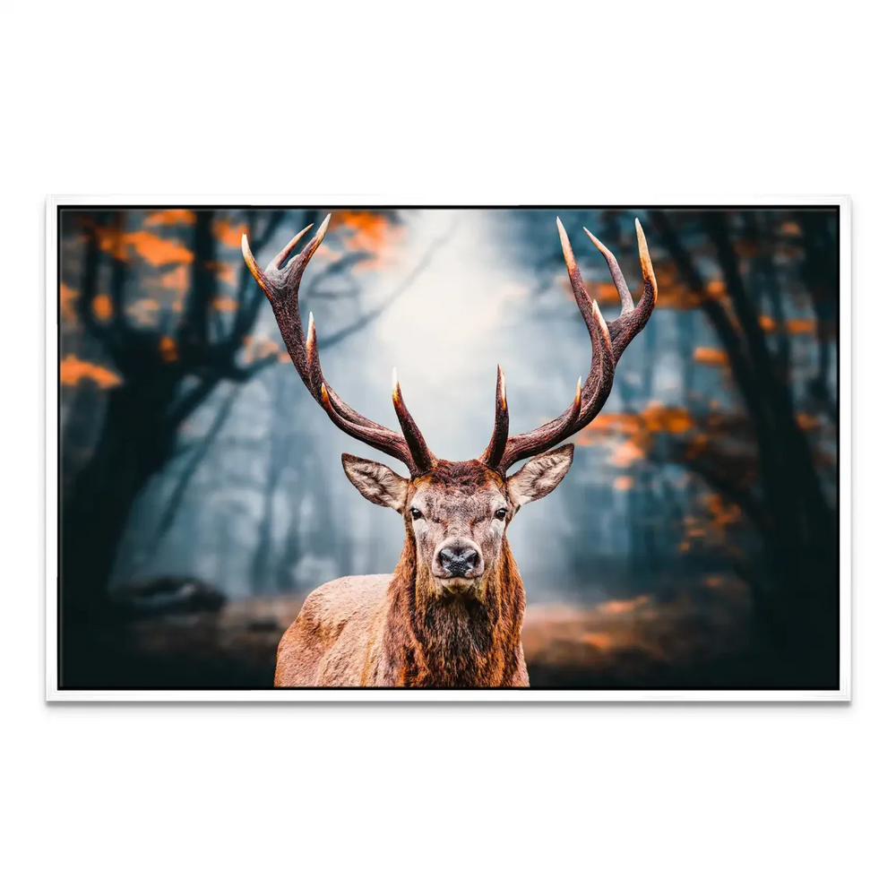 Soft, luminous forest scene with a majestic stag as focal point.
