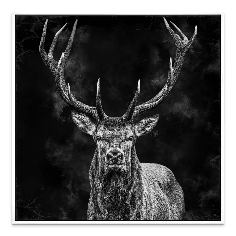 Monochrome stag artwork perfect for leather and metal accents